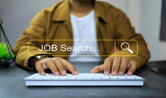 QEL.fr : La Plateforme Coup de Cœur pour Décrocher des Offres d’Emploi Tech Récentes (Témoignage + Astuces)
